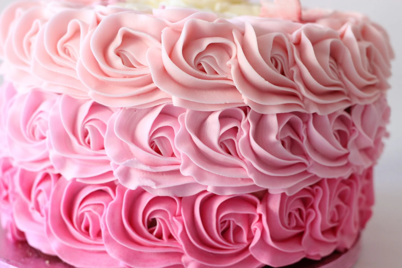 A close-up of soft pink buttercream roses